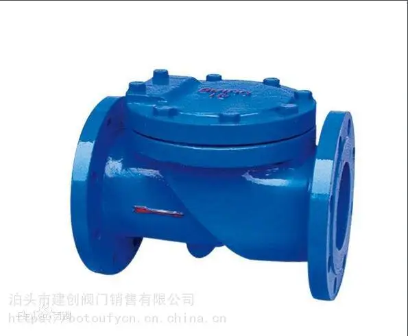 河北泊头H44X橡胶瓣止回阀