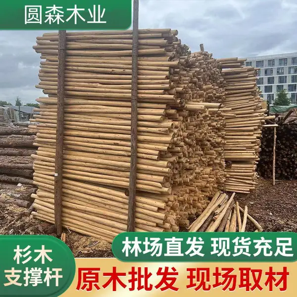 杉木原木支撑杆 绿化带园林等移植树木固定支架 福 建圆森木业 可定制