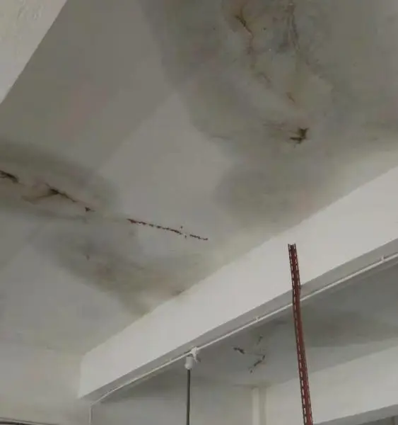 东莞建筑防水堵漏不一定是住宅楼,厂房漏水多吗,补一次多钱