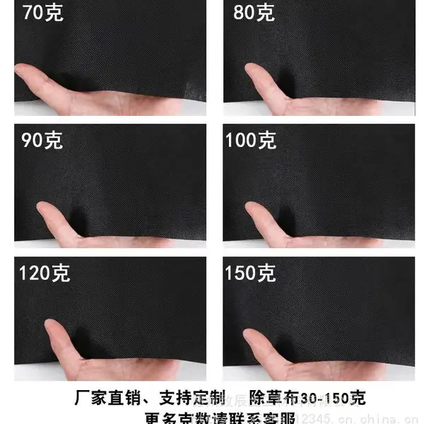 透水透气除草布苹果园除草使用防腐根耐低温