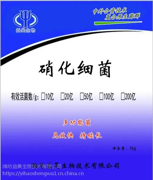 污水处理菌种 养殖污水处理 污水处理生化池的菌种
