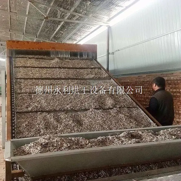 瓜子烘干机-干果烘干设备-永利烘干设备专业食品烘干机制造