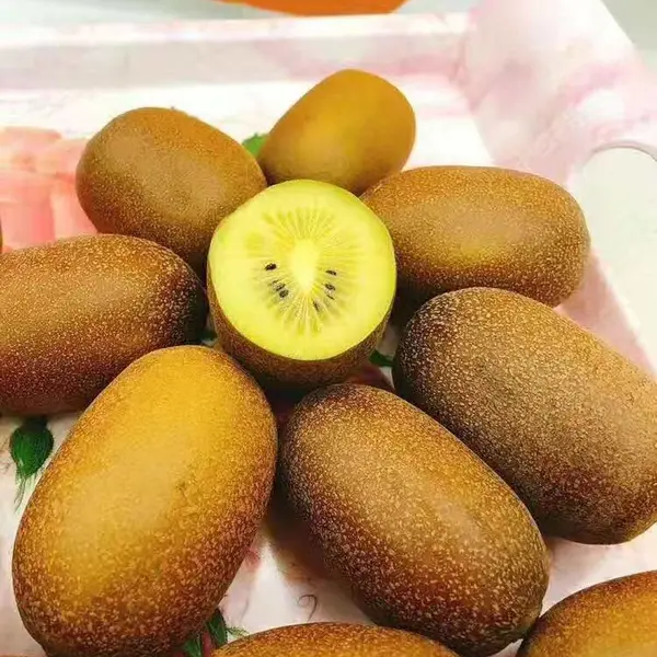 ⨺���Ʒ�� ���� ���� ���� ���ֵ� ���� ���� �� ���� �ƽ��⨺�����