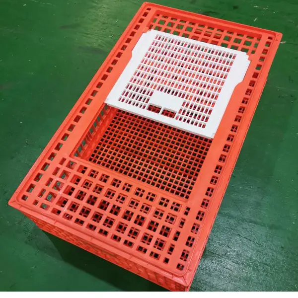 塑料的成鸡运输笼子 鸡鸭鹅周转筐子