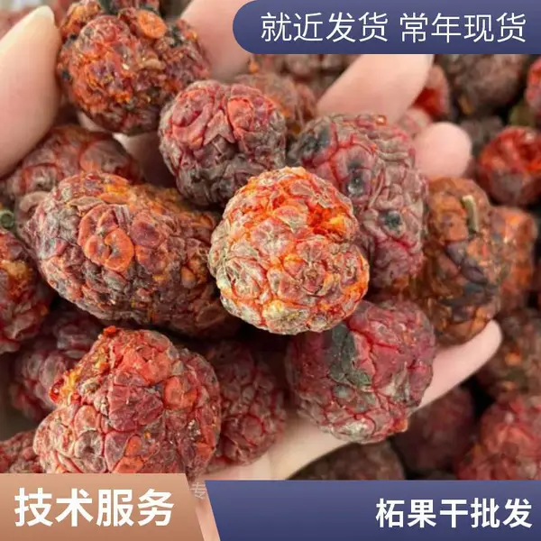 云缅边境原生态高山野果 花青素丰富 晒干帝王果 柘王果