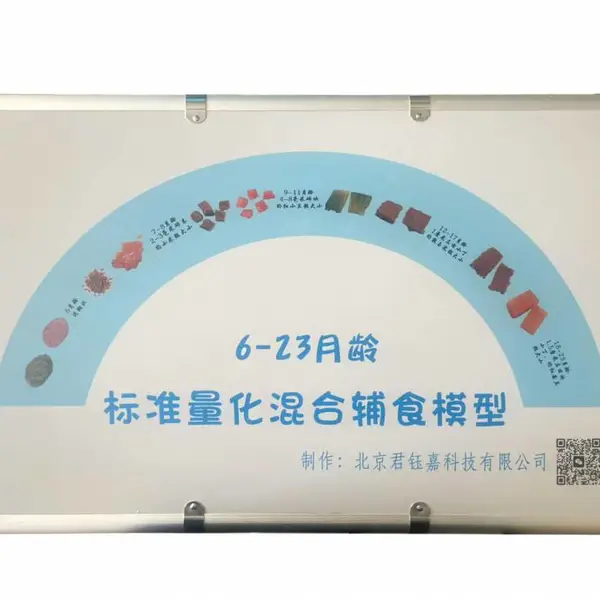 6-23 月龄标准量化混合辅食模型