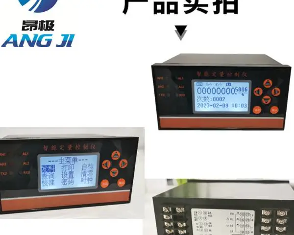 智能流量智能定量控制仪品牌 欢迎咨询 上海昂极仪表供应