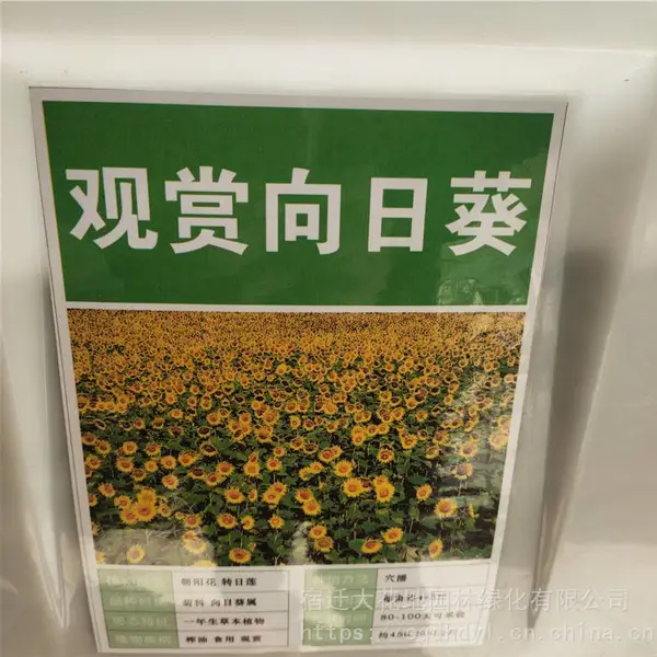 �����²��߲����� �������տ����� ��ѿ*** �۸���� ***