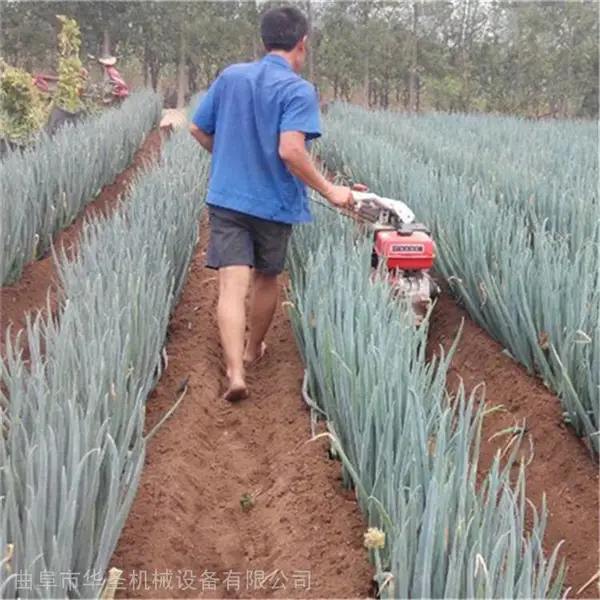 ũ��С�Ϳ����� �ڽ�����¢�� �ִ���⹵������
