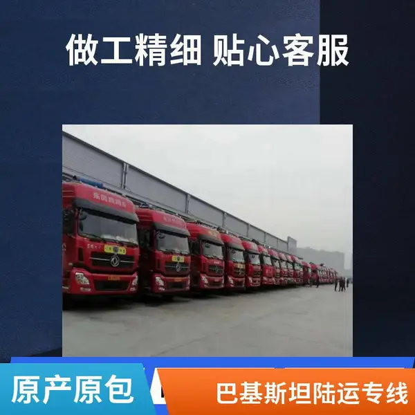新加坡物流专线 巴基斯坦陆运专线散货拼箱/整柜双清 多年经验