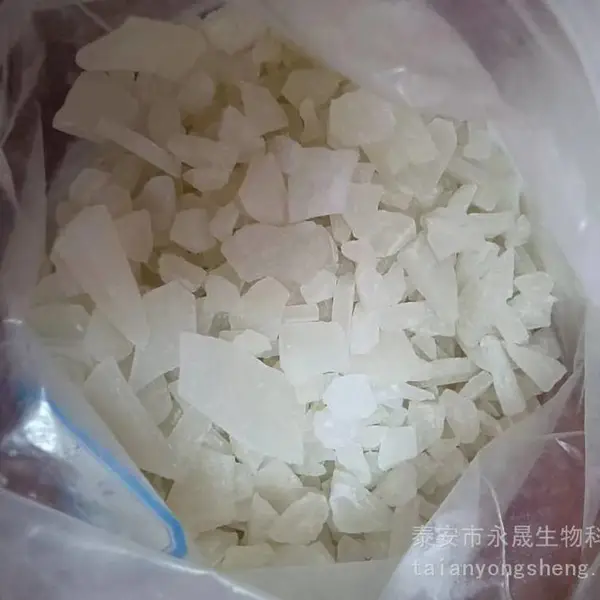 ����רҵ�������������� ��������������������Ѷһ��ͨ