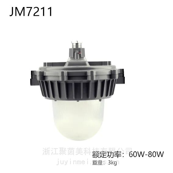 ��Ϊ��LED�ڵ� 60W ���ܿ����������� ��ѣ��