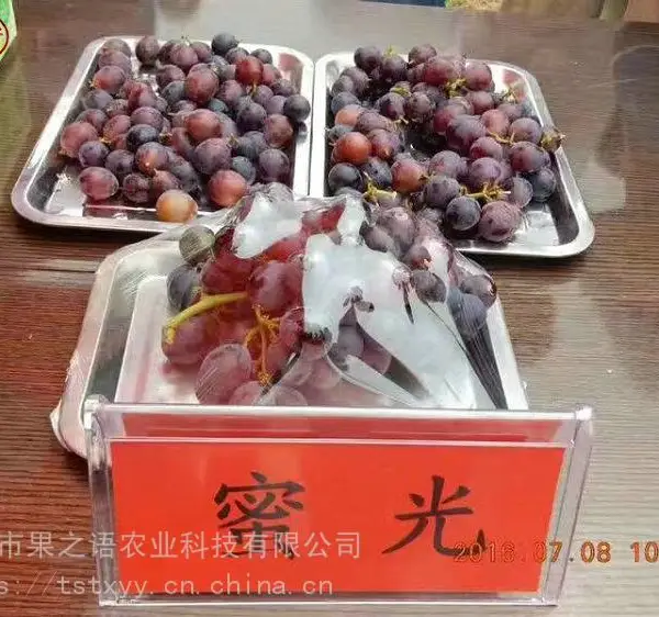 �����硢õ���������硢����5������������������������Ǽ���