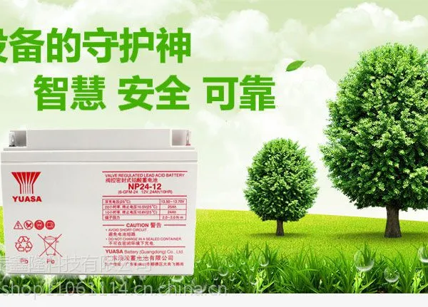 YUASA��ǳ ����NP24-12 12V24AHǦ��UPS��� UPS��Դ���