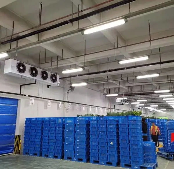 建造一个1000吨的高温冷库需要多少钱?