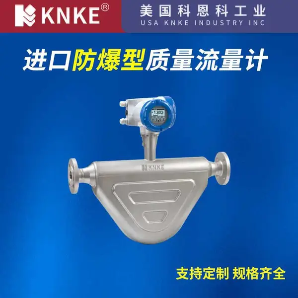 进口防爆质量流量计 高精度气体流量测量 美国KNKE科恩科