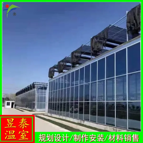 ��̩���� ����������������Ҵ��� ���ܱ������� YTWSWL1867
