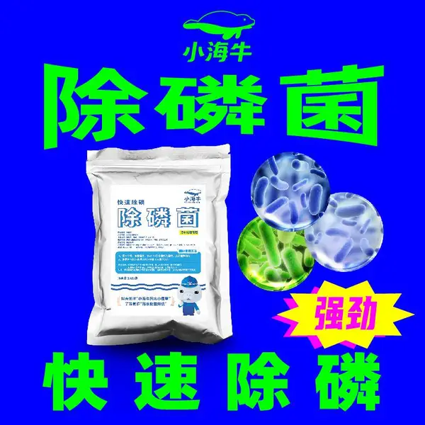 污水处理 总磷 超标 菌种 除磷菌剂 聚磷菌 微生物 快速 降解 养殖 医院 生活 降解氨氮 降解总氮工厂直供