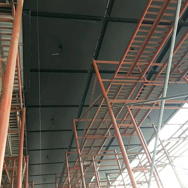 �Ƶ����� �������������� �㶫���ɫ������