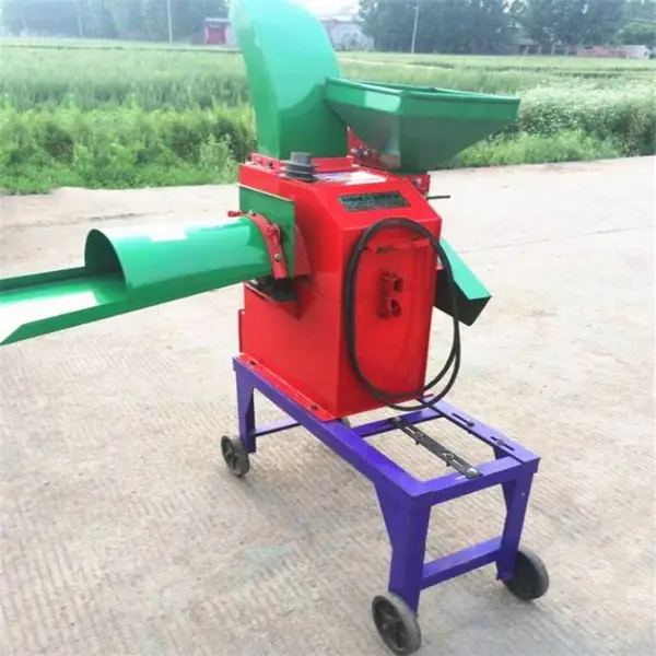 �๦��ľ����֦���������о�ոѱ߽��Ϸ���ա�ݻ�ľм��ҵ��ĩ��