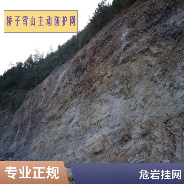 边坡落石防护网 SNS柔性主动防护系统 工程护坡网 支持施工
