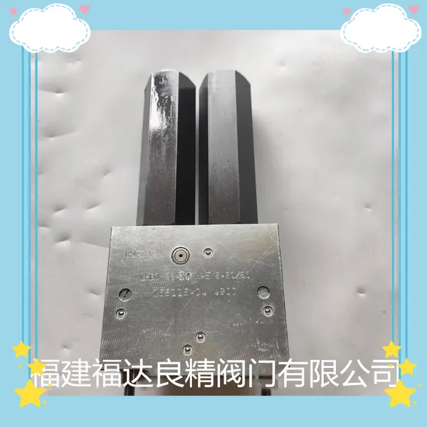 HAWE/����ƽ�ⷧ Һѹ�� ����LHDV 33-21 W-E 6-60/60