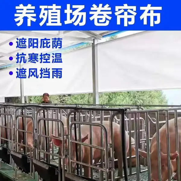 定做畜牧养殖场卷帘布 猪场卷帘布 防寒防风卷帘布