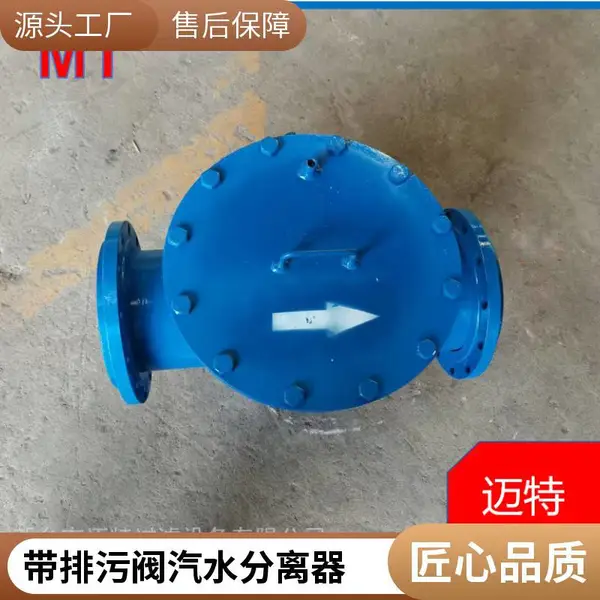 压风管道汽水分离器 0.8MPa 自动排污 化工厂用