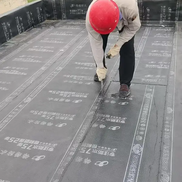 防水补漏 外墙面渗漏修复 高空作业专业施工队伍