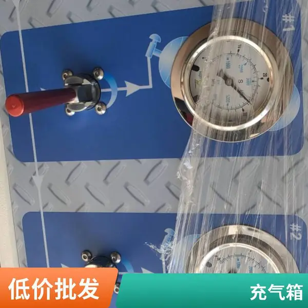 TANK-BOX2两瓶充气箱 防爆照明配电箱检修箱 防护等级高 新华荣