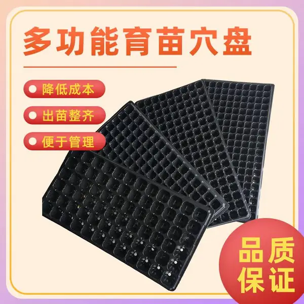 塑料育苗盘尺寸540*280mm 大棚蔬菜育苗穴盘多穴孔可选