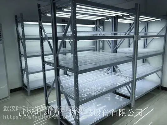 武汉叶动力 植物组培实验室 组织培养室 项目方案设计 整体工程建设规划 技术指导实施