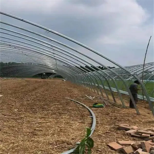 大棚温室配件 规格多种 抗压耐腐蚀 可支持定制大棚骨架 飞龙制管