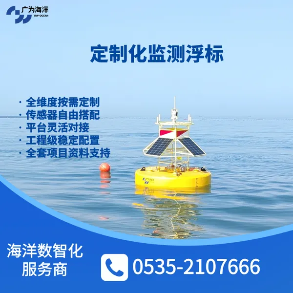 定制化监测浮标系统 水文海洋智慧水利多参数一体化浮标 源头厂家