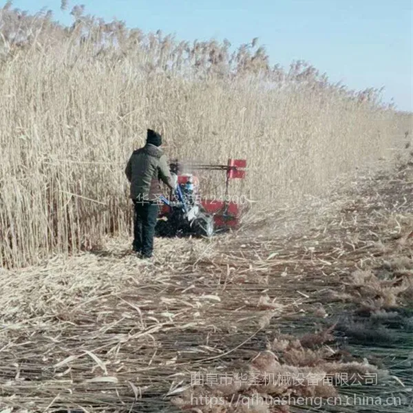 ���������ո�� ���곯�콷�ո��