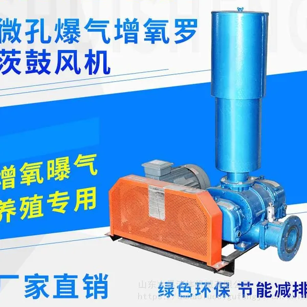 供应三叶罗茨鼓风机大昊风机DHSR50污水处理专用风机