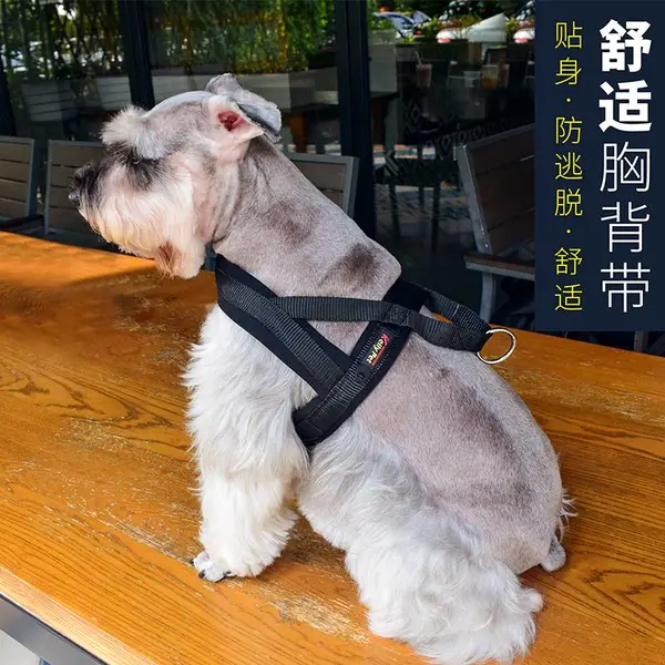 kellypet宠物用品工厂潜水料狗背带尼龙狗狗牵引绳套装宠物胸背带
