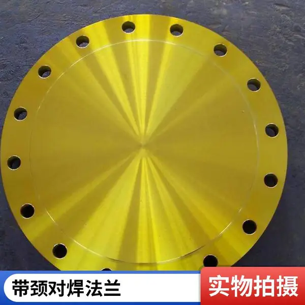 316HG/T20592304带颈对焊法兰 法兰盖 整体法兰 翻边