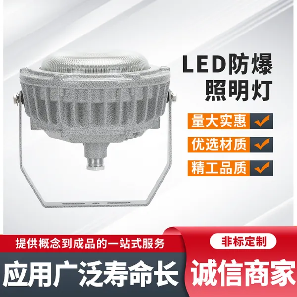 LED防爆吸顶灯 加油站室外照明探照灯 仓库车间圆形防爆灯