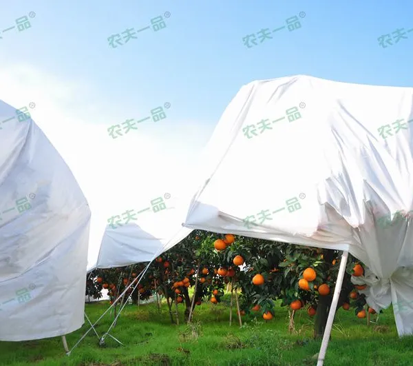 防寒布价格柑橘防寒布代理东莞农夫一品厂家直销果树保温抗冻