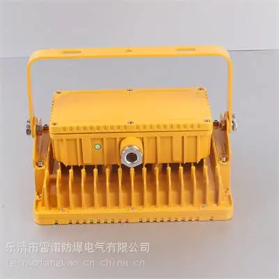 节能型防爆LED照明灯 100W化工产品库房防爆灯