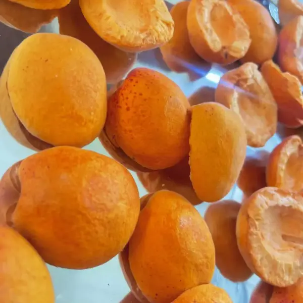 真空冻干机食品加工生产线 果蔬 中药材冻干设备