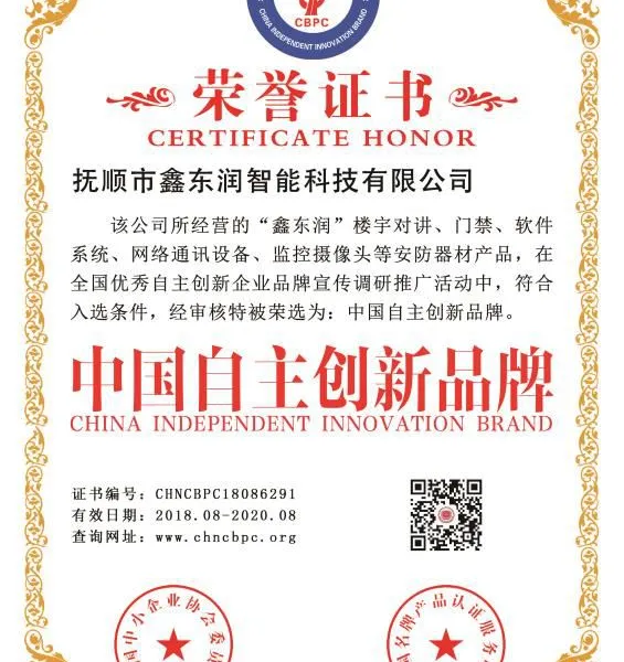 中国自主创新品牌