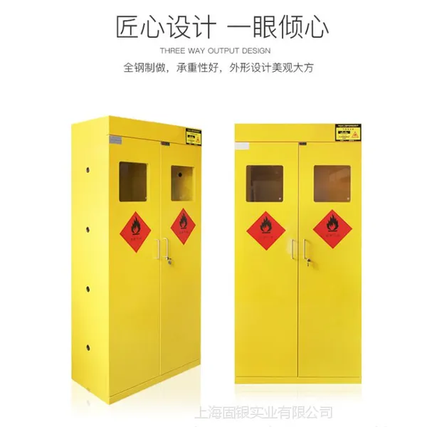固银实验室钢瓶柜医院双瓶气瓶柜安全柜气体储存柜全钢气瓶柜
