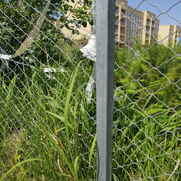 厂家直销支持做浸塑美格网防锈装饰防盗门窗网矿山防护网