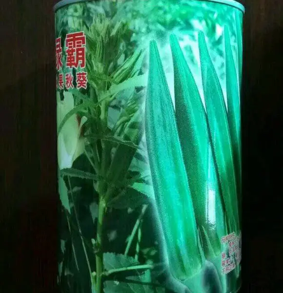 绿灞水果秋葵种子,果实浓绿色,弯果少,萼片新鲜美观
