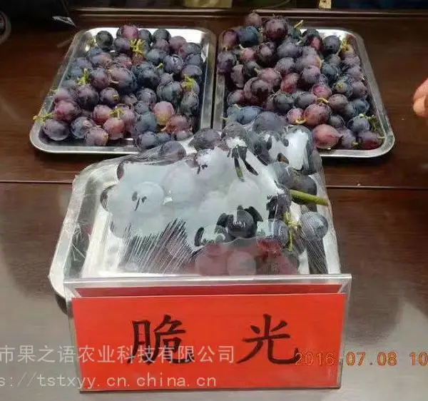 ��������ء������������硢��������ʯ�������ֻ�
