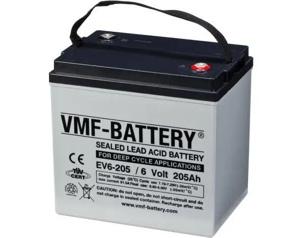 德国VMF蓄电池EV6-205 6V205AH(进口)高尔夫球车洗地机动力电池