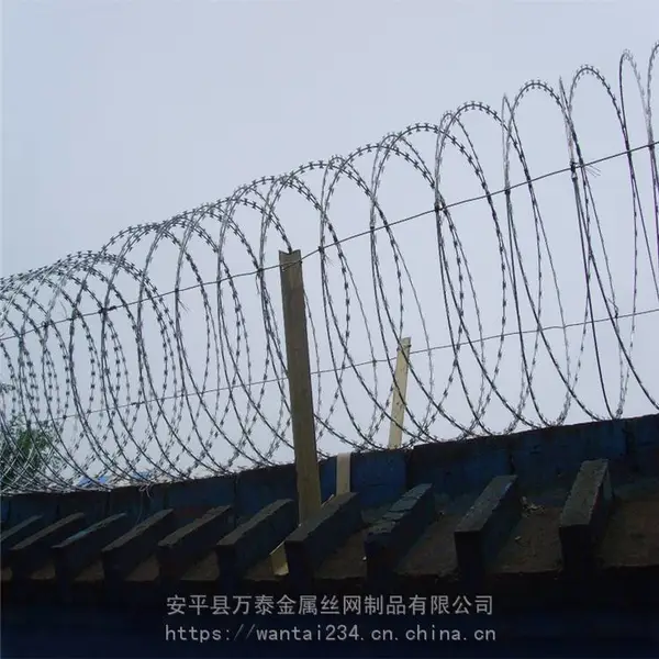 刺绳网 100米长带刺铁丝网 防腐蚀刺铁丝