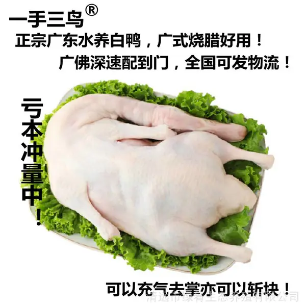 光鸭广式白鸭打气烧鸭白条鸭直供酒店饭堂商超新鲜现杀批发可斩块